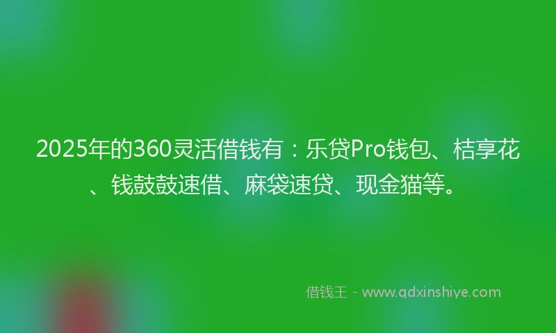 2025年的360灵活借钱有：乐贷Pro钱包、桔享花、钱鼓鼓速借、麻袋速贷、现金猫等。