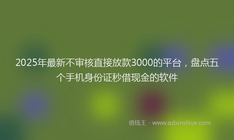 2025年最新不审核直接放款3000的平台，盘点五个手机身份证秒借现金的软件
