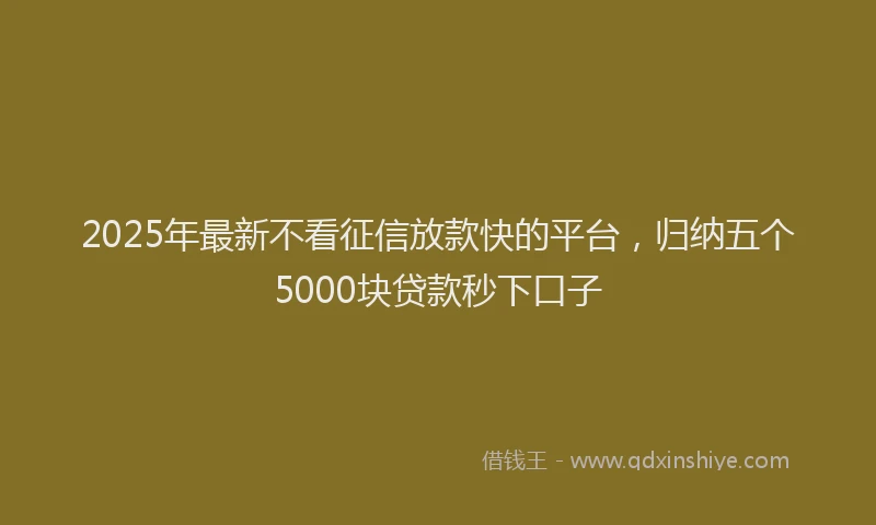 2025年最新不看征信放款快的平台，归纳五个5000块贷款秒下口子