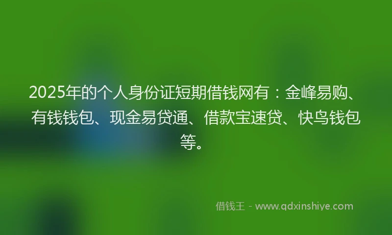 2025年的个人身份证短期借钱网有：金峰易购、有钱钱包、现金易贷通、借款宝速贷、快鸟钱包等。