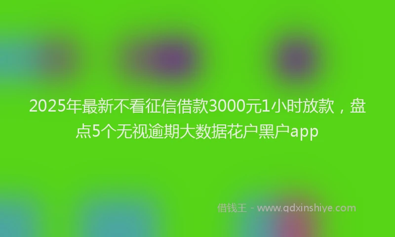 2025年最新不看征信借款3000元1小时放款，盘点5个无视逾期大数据花户黑户app