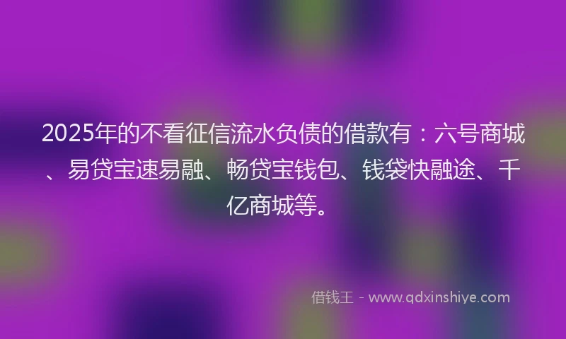 2025年的不看征信流水负债的借款有：六号商城、易贷宝速易融、畅贷宝钱包、钱袋快融途、千亿商城等。