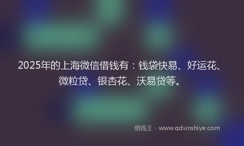 2025年的上海微信借钱有：钱袋快易、好运花、微粒贷、银杏花、沃易贷等。