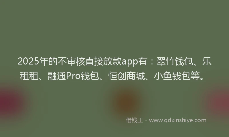 2025年的不审核直接放款app有：翠竹钱包、乐租租、融通Pro钱包、恒创商城、小鱼钱包等。