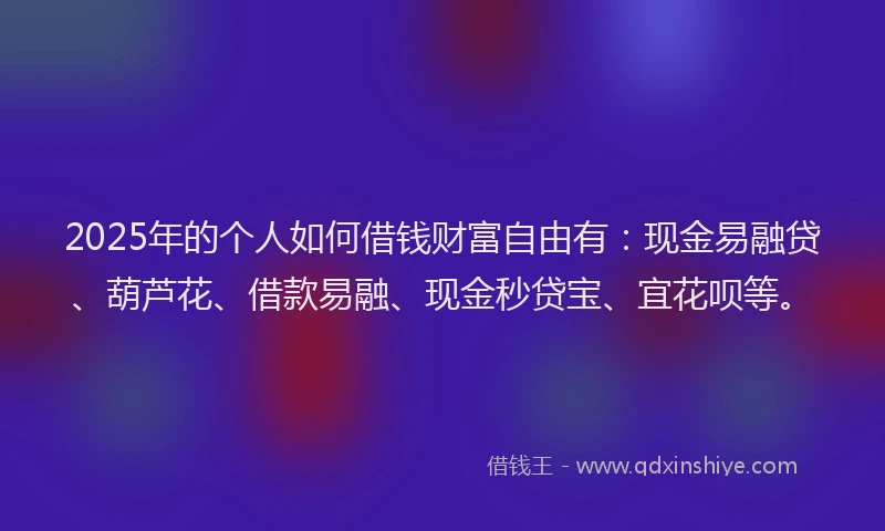 2025年的个人如何借钱财富自由有：现金易融贷、葫芦花、借款易融、现金秒贷宝、宜花呗等。