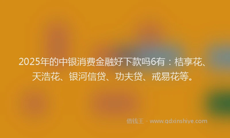 2025年的中银消费金融好下款吗6有：桔享花、天浩花、银河信贷、功夫贷、戒易花等。