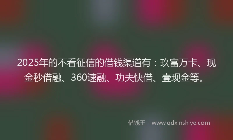 2025年的不看征信的借钱渠道有：玖富万卡、现金秒借融、360速融、功夫快借、壹现金等。