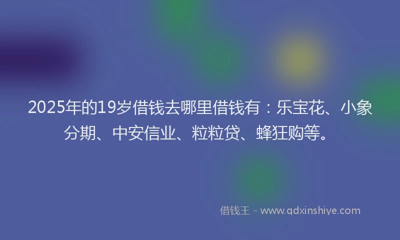 2025年的19岁借钱去哪里借钱有：乐宝花、小象分期、中安信业、粒粒贷、蜂狂购等。