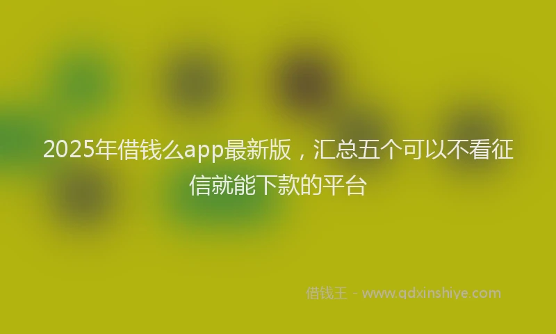 2025年借钱么app最新版，汇总五个可以不看征信就能下款的平台