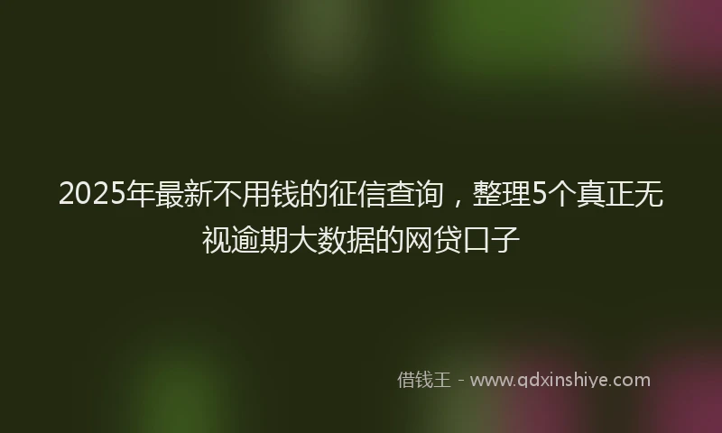 2025年最新不用钱的征信查询，整理5个真正无视逾期大数据的网贷口子