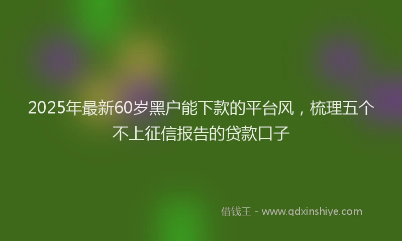 2025年最新60岁黑户能下款的平台风，梳理五个不上征信报告的贷款口子