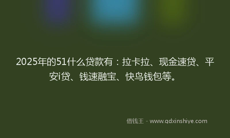 2025年的51什么贷款有：拉卡拉、现金速贷、平安i贷、钱速融宝、快鸟钱包等。
