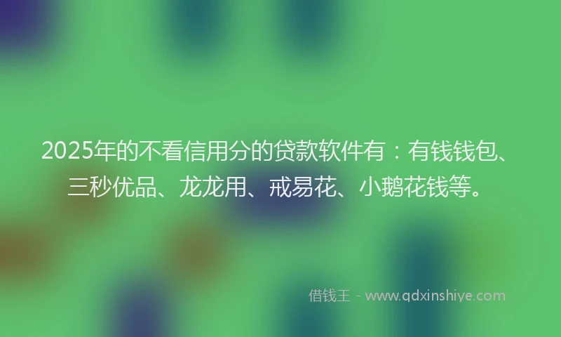 2025年的不看信用分的贷款软件有：有钱钱包、三秒优品、龙龙用、戒易花、小鹅花钱等。