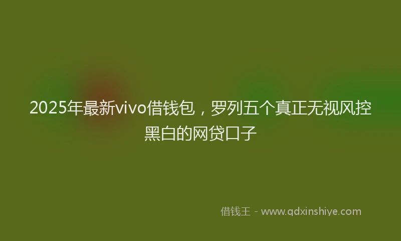 2025年最新vivo借钱包，罗列五个真正无视风控黑白的网贷口子