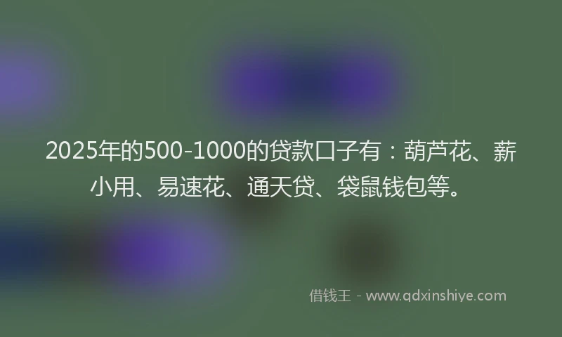 2025年的500-1000的贷款口子有：葫芦花、薪小用、易速花、通天贷、袋鼠钱包等。
