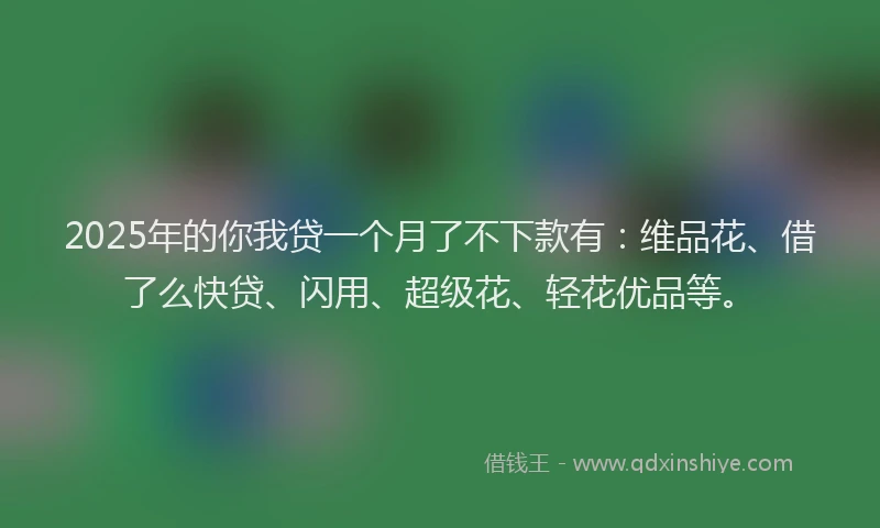 2025年的你我贷一个月了不下款有：维品花、借了么快贷、闪用、超级花、轻花优品等。