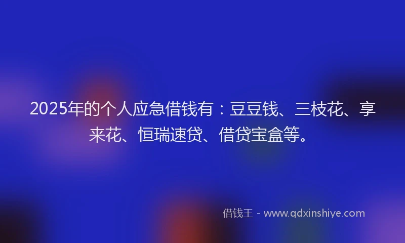 2025年的个人应急借钱有：豆豆钱、三枝花、享来花、恒瑞速贷、借贷宝盒等。