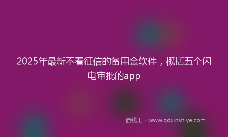 2025年最新不看征信的备用金软件，概括五个闪电审批的app