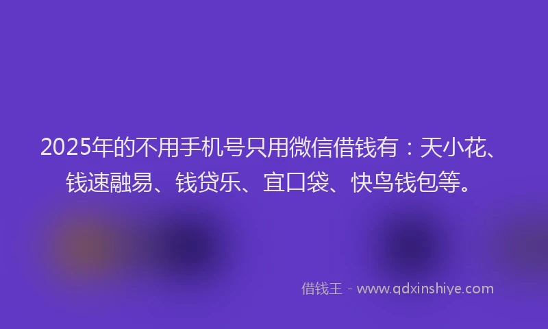 2025年的不用手机号只用微信借钱有：天小花、钱速融易、钱贷乐、宜口袋、快鸟钱包等。