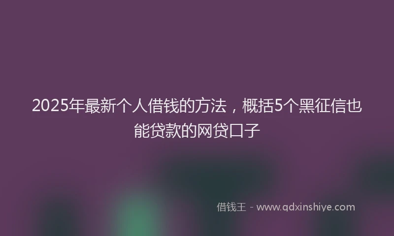 2025年最新个人借钱的方法，概括5个黑征信也能贷款的网贷口子
