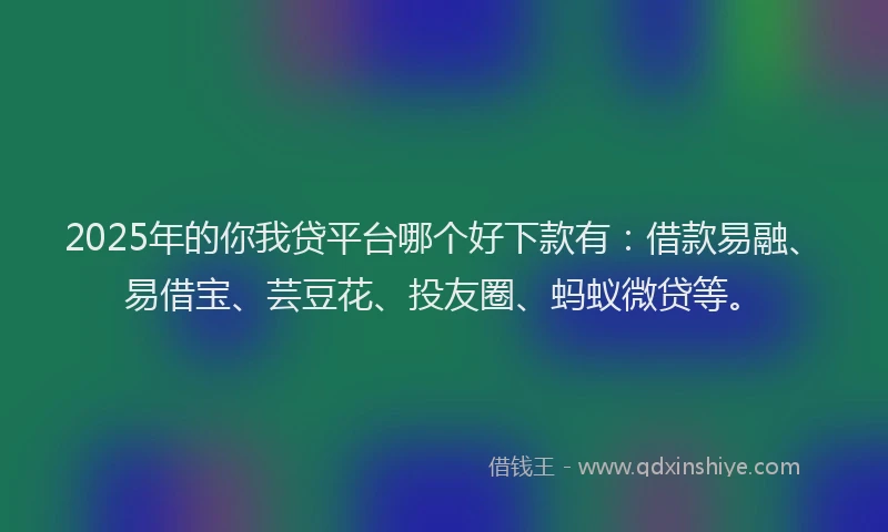 2025年的你我贷平台哪个好下款有：借款易融、易借宝、芸豆花、投友圈、蚂蚁微贷等。