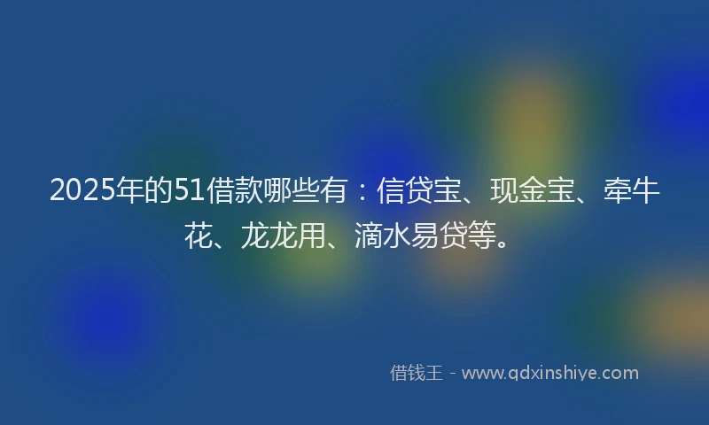 2025年的51借款哪些有：信贷宝、现金宝、牵牛花、龙龙用、滴水易贷等。