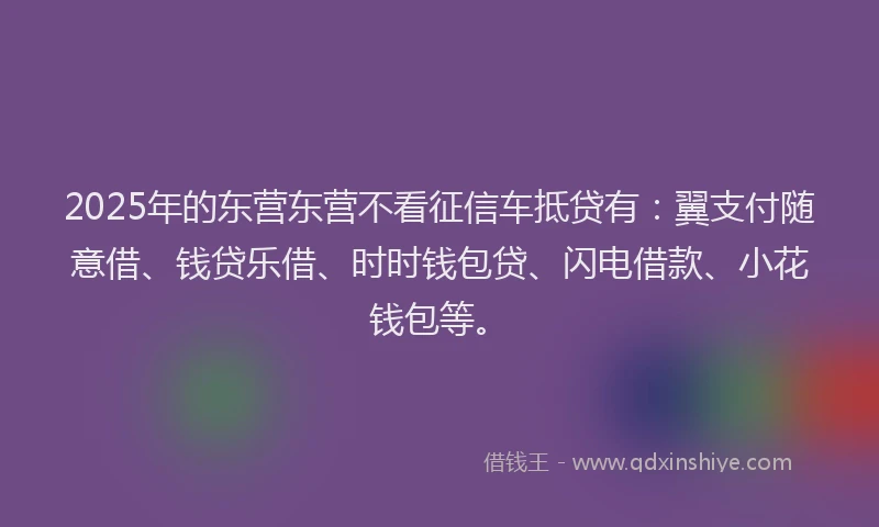2025年的东营东营不看征信车抵贷有：翼支付随意借、钱贷乐借、时时钱包贷、闪电借款、小花钱包等。