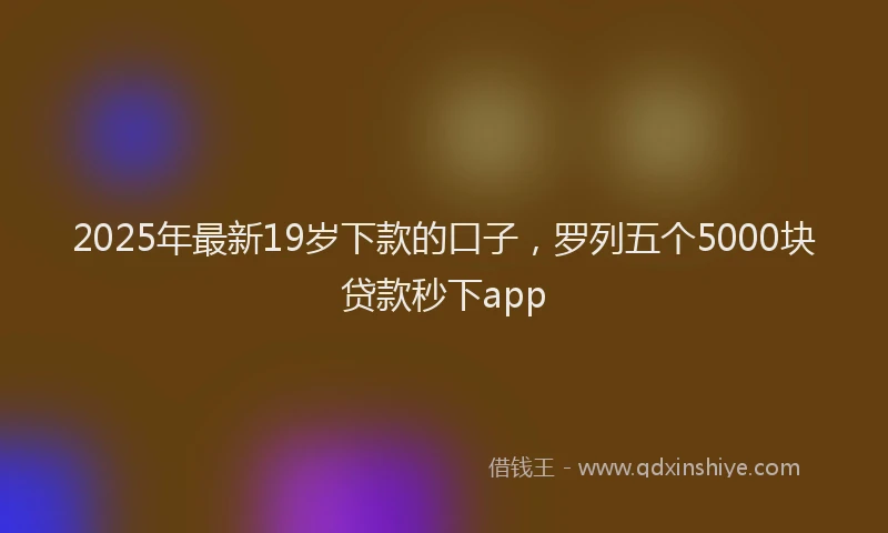 2025年最新19岁下款的口子，罗列五个5000块贷款秒下app