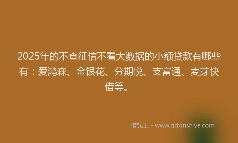 2025年的不查征信不看大数据的小额贷款有哪些有：爱鸿森、金银花、分期悦、支富通、麦芽快借等。