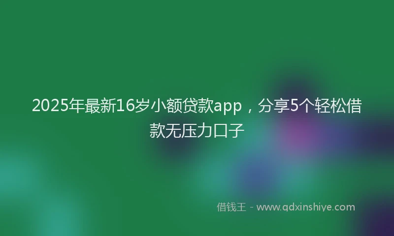 2025年最新16岁小额贷款app，分享5个轻松借款无压力口子