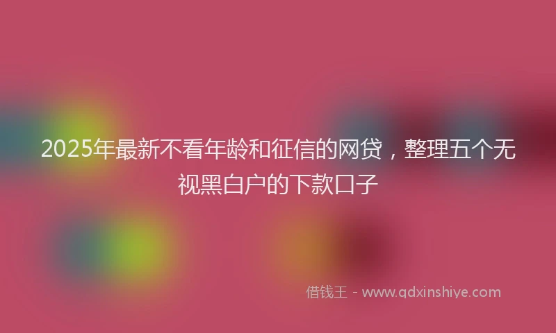 2025年最新不看年龄和征信的网贷，整理五个无视黑白户的下款口子