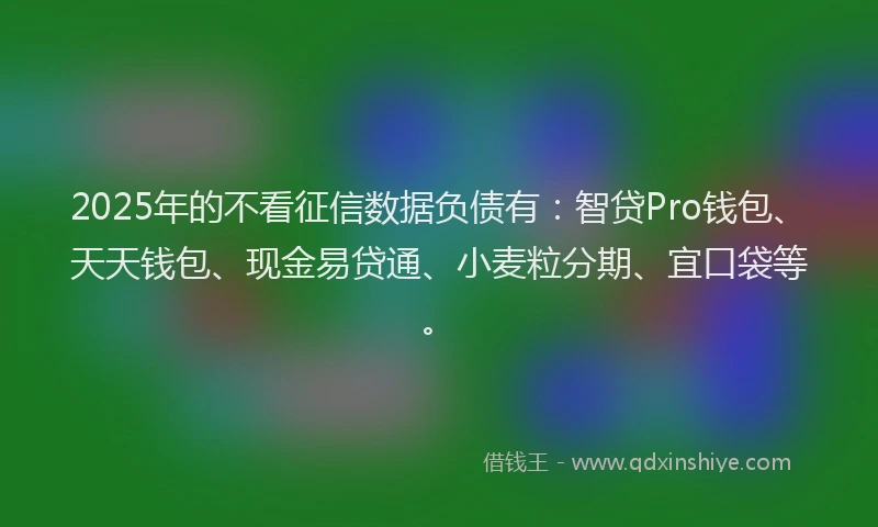 2025年的不看征信数据负债有：智贷Pro钱包、天天钱包、现金易贷通、小麦粒分期、宜口袋等。