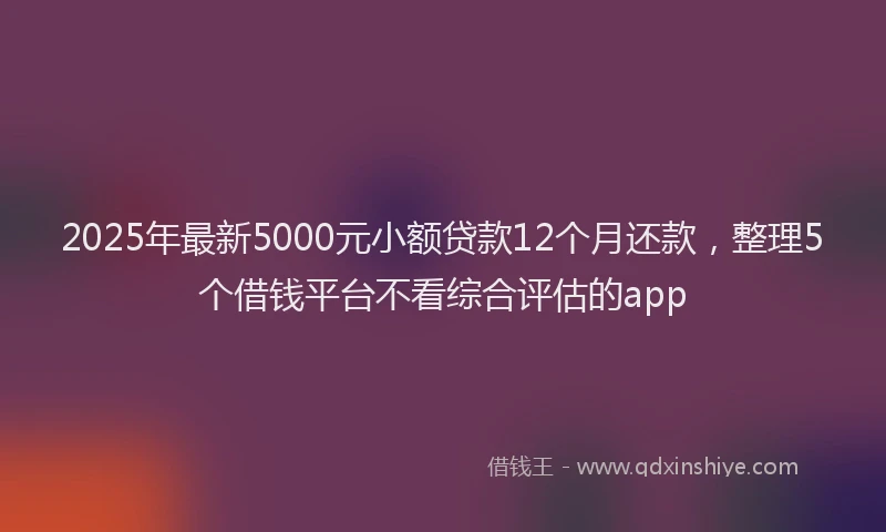 2025年最新5000元小额贷款12个月还款，整理5个借钱平台不看综合评估的app