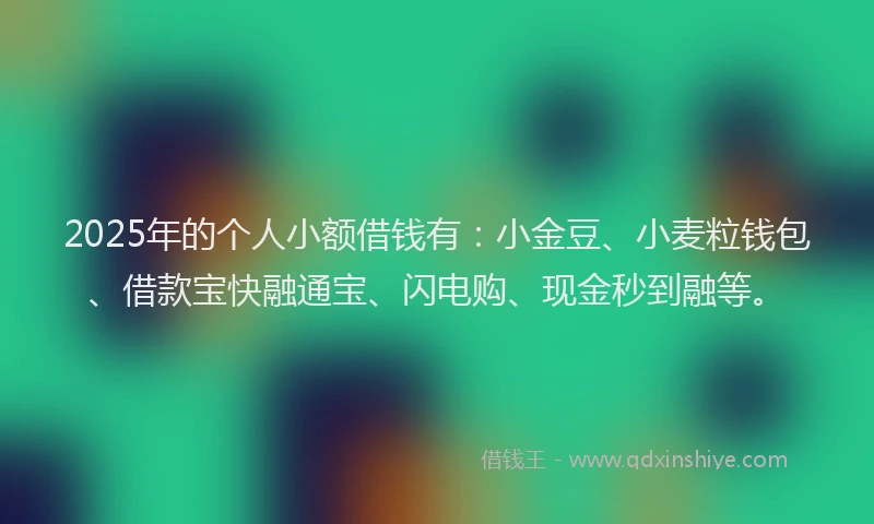2025年的个人小额借钱有：小金豆、小麦粒钱包、借款宝快融通宝、闪电购、现金秒到融等。