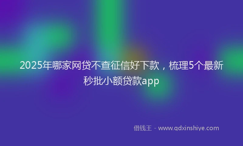 2025年哪家网贷不查征信好下款，梳理5个最新秒批小额贷款app