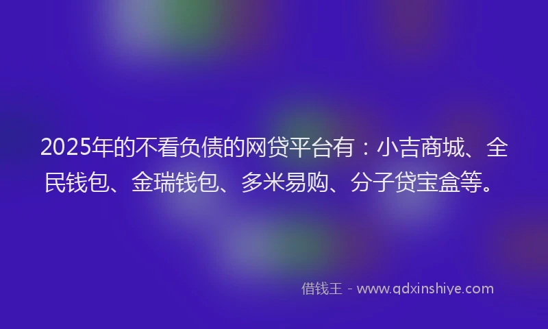 2025年的不看负债的网贷平台有：小吉商城、全民钱包、金瑞钱包、多米易购、分子贷宝盒等。