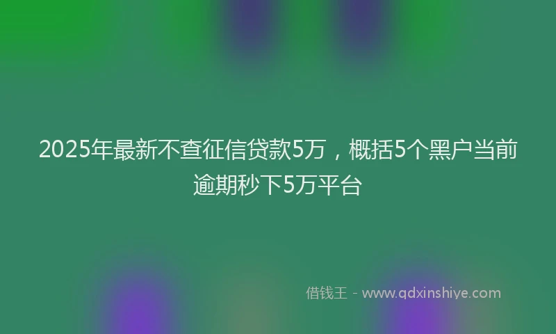 2025年最新不查征信贷款5万，概括5个黑户当前逾期秒下5万平台