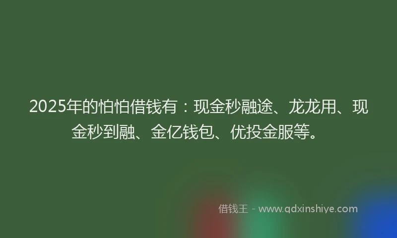 2025年的怕怕借钱有：现金秒融途、龙龙用、现金秒到融、金亿钱包、优投金服等。
