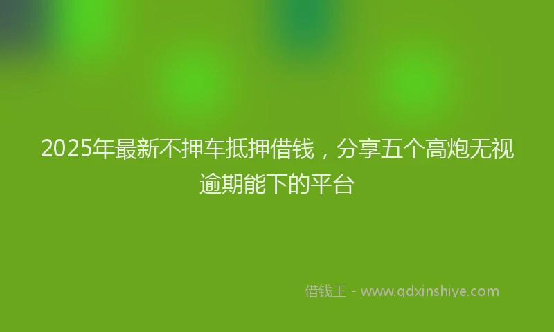 2025年最新不押车抵押借钱，分享五个高炮无视逾期能下的平台