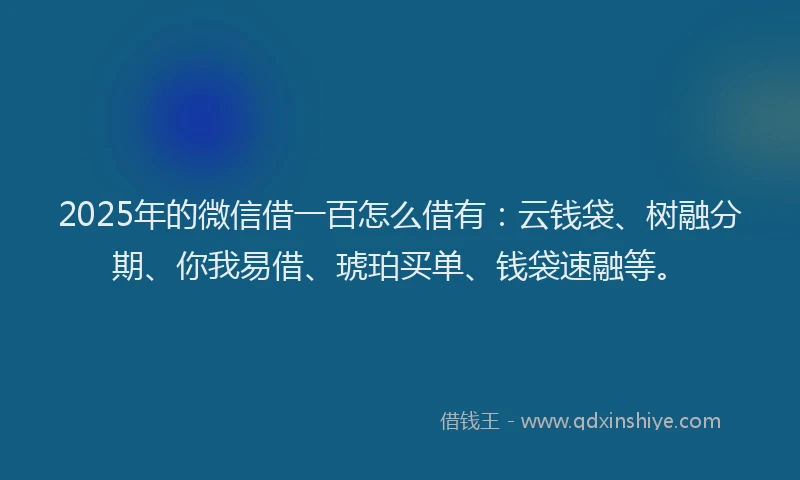 2025年的微信借一百怎么借有：云钱袋、树融分期、你我易借、琥珀买单、钱袋速融等。