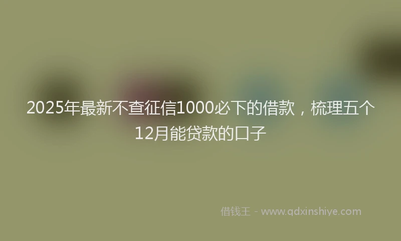 2025年最新不查征信1000必下的借款，梳理五个12月能贷款的口子
