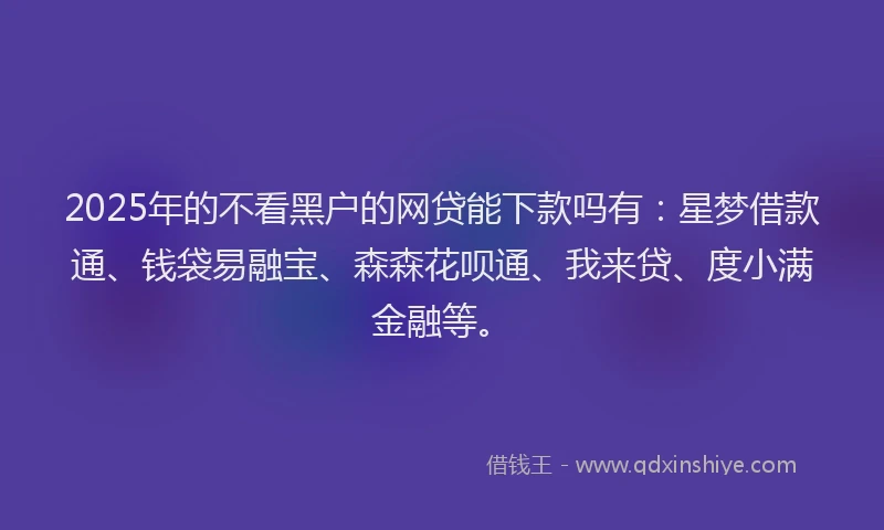2025年的不看黑户的网贷能下款吗有：星梦借款通、钱袋易融宝、森森花呗通、我来贷、度小满金融等。