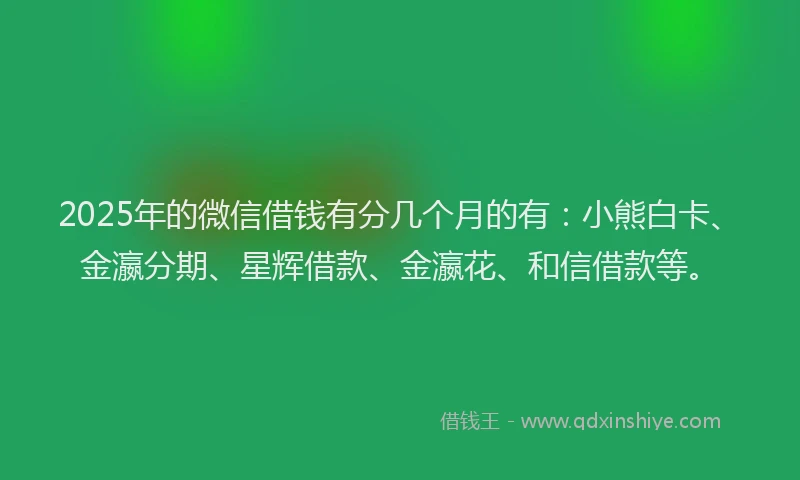 2025年的微信借钱有分几个月的有：小熊白卡、金瀛分期、星辉借款、金瀛花、和信借款等。