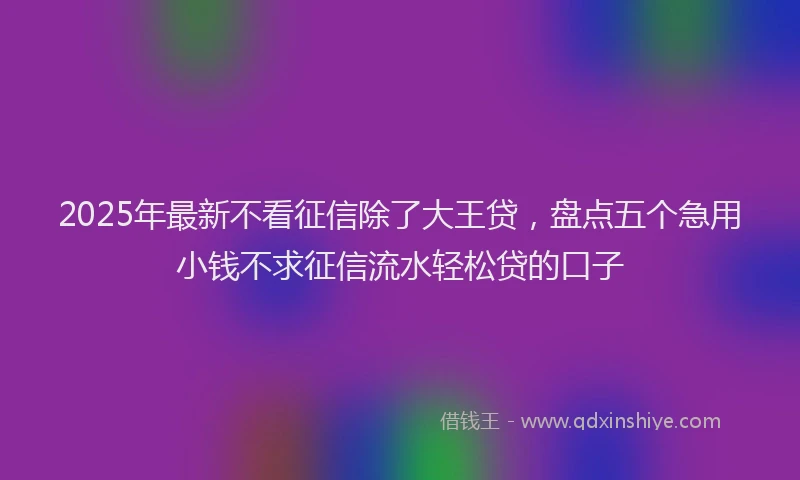 2025年最新不看征信除了大王贷，盘点五个急用小钱不求征信流水轻松贷的口子