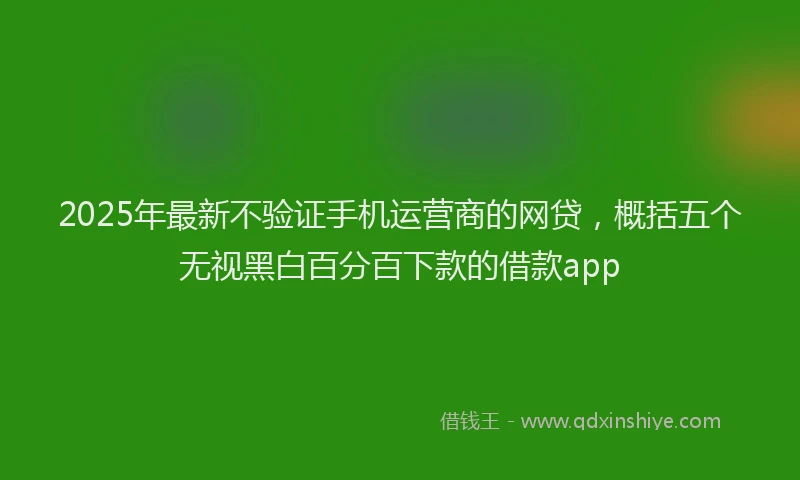 2025年最新不验证手机运营商的网贷，概括五个无视黑白百分百下款的借款app