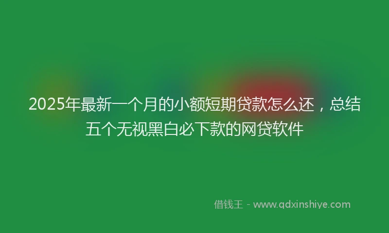 2025年最新一个月的小额短期贷款怎么还，总结五个无视黑白必下款的网贷软件