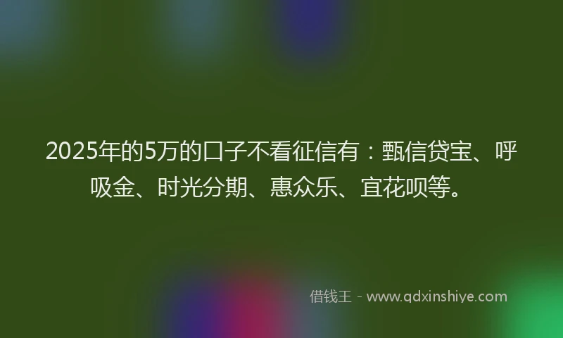2025年的5万的口子不看征信有：甄信贷宝、呼吸金、时光分期、惠众乐、宜花呗等。