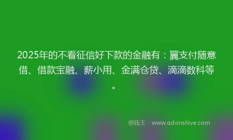 2025年的不看征信好下款的金融有：翼支付随意借、借款宝融、薪小用、金满仓贷、滴滴数科等。