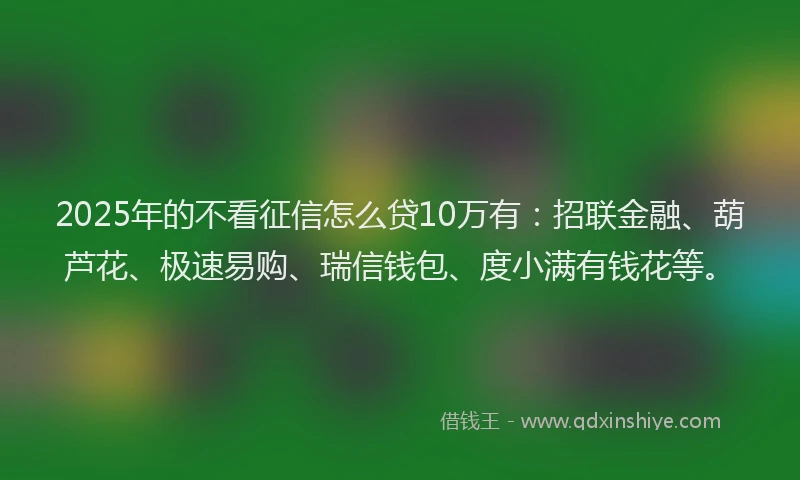 2025年的不看征信怎么贷10万有：招联金融、葫芦花、极速易购、瑞信钱包、度小满有钱花等。