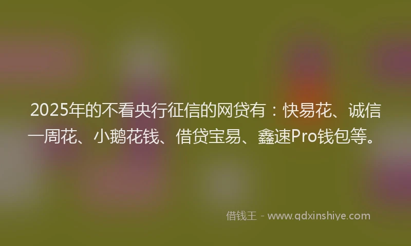 2025年的不看央行征信的网贷有：快易花、诚信一周花、小鹅花钱、借贷宝易、鑫速Pro钱包等。
